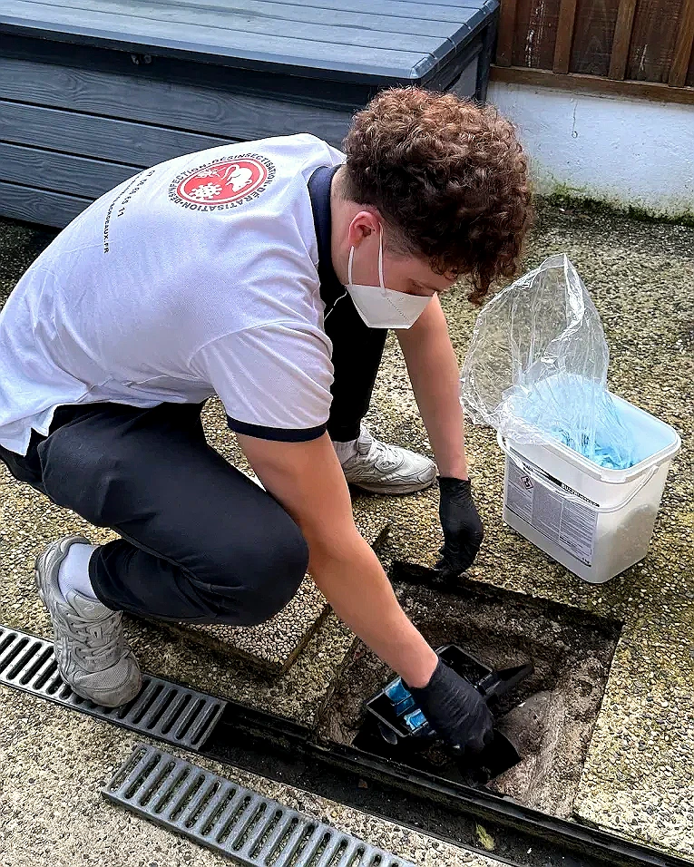 Technicien certifié d’Urgence Nuisibles Bordeaux installant un poste d’appâtage sécurisé